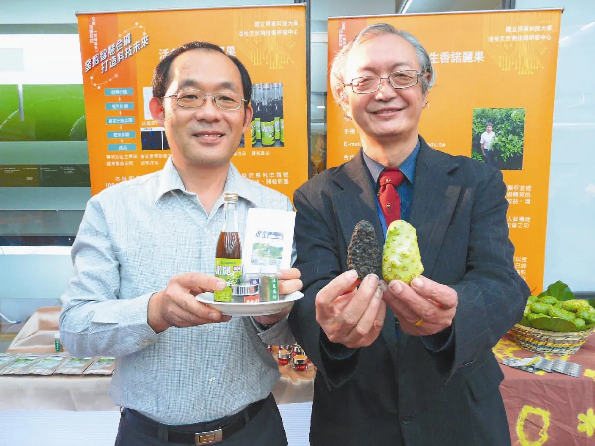 腳踝有支撐 蹲馬桶腳不痠