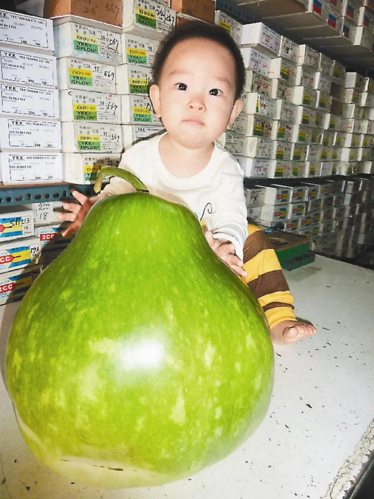 瓠瓜巨無霸