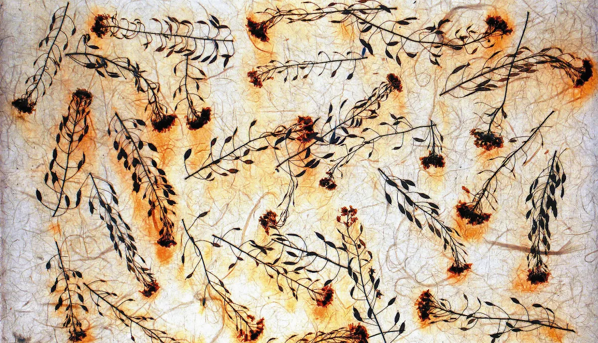 埔里新玩藝玩紙．賞紙．吃紙