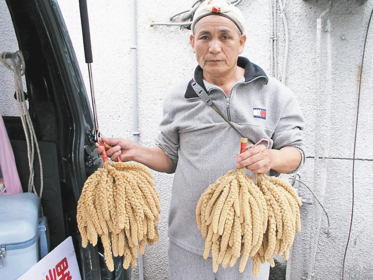 【社區部落格】昔日主食 小米成裝飾品