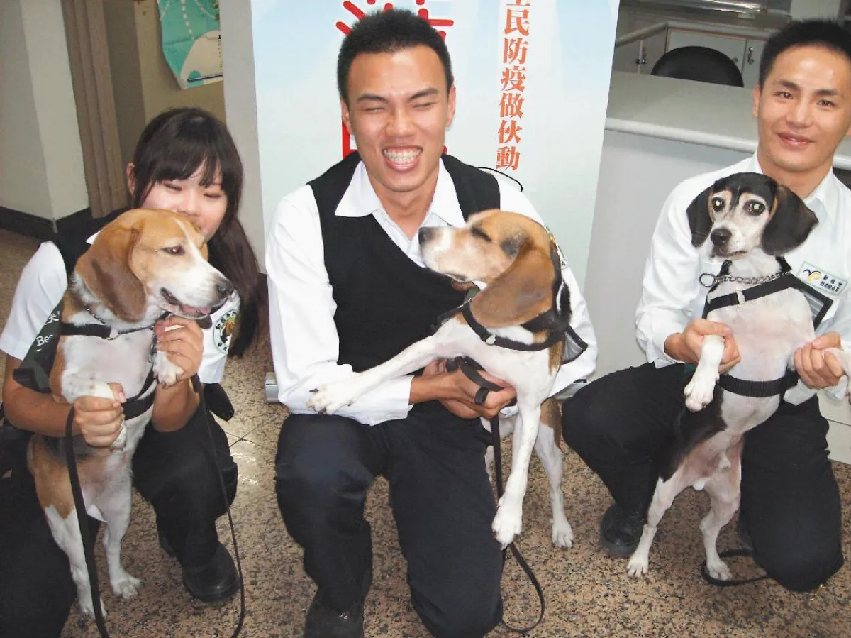 檢疫犬 愛吃建功