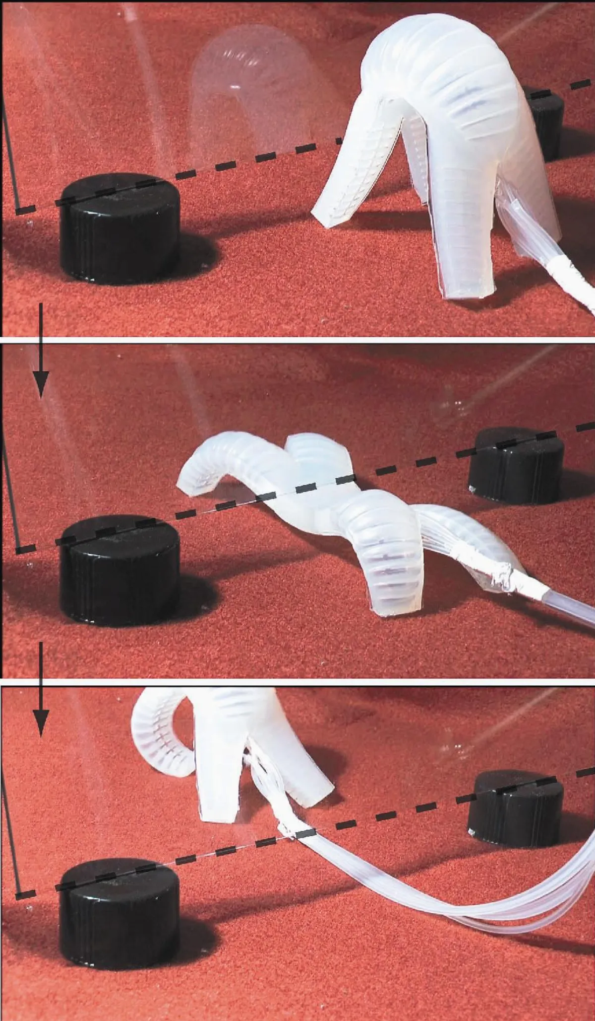 軟機器人 鑽窄縫如章魚