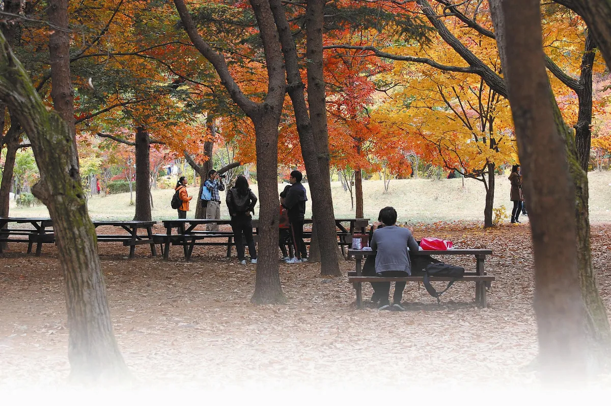 秋季戀歌 遊韓國