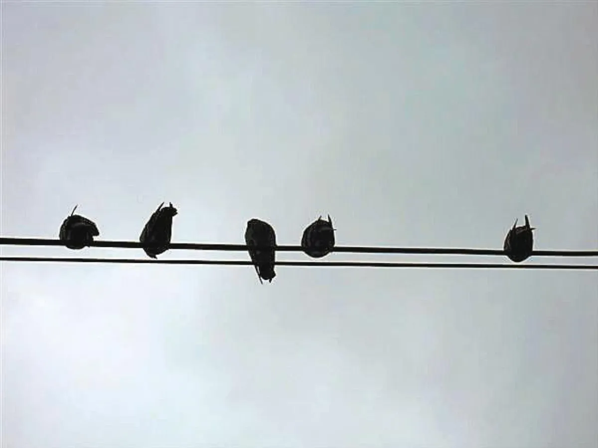 天空中的「符號」