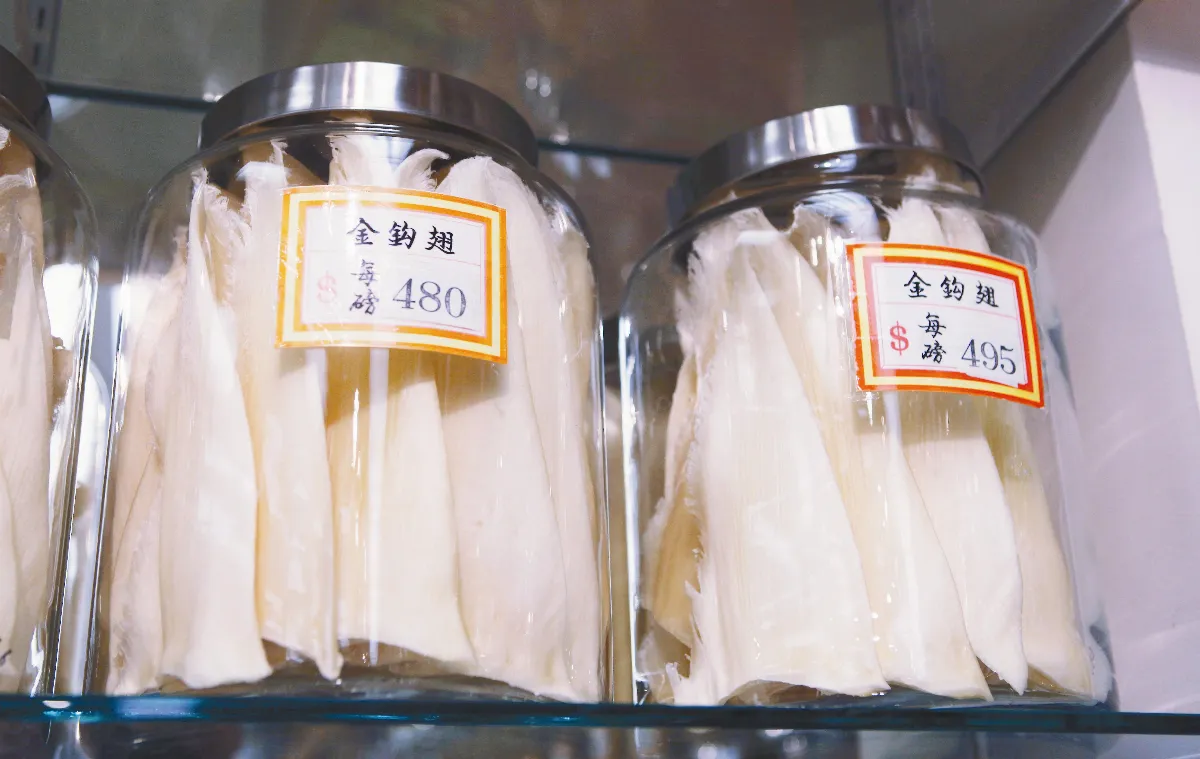 時人牙慧