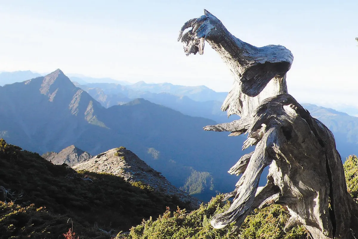 【生活快門】       有怪獸！