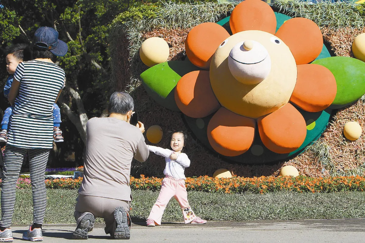 青鳥花卉 傳遞幸福