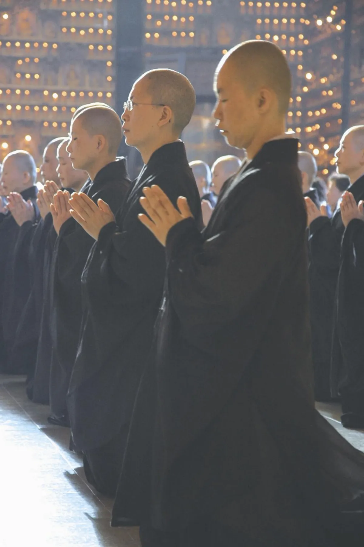 【佛法大海】皈依