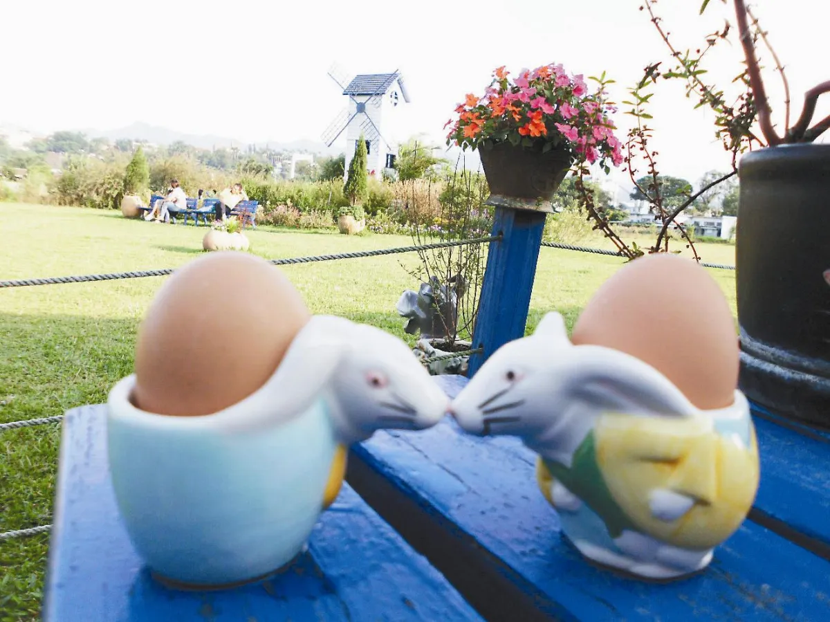 【生活快門】小鼠的婚禮