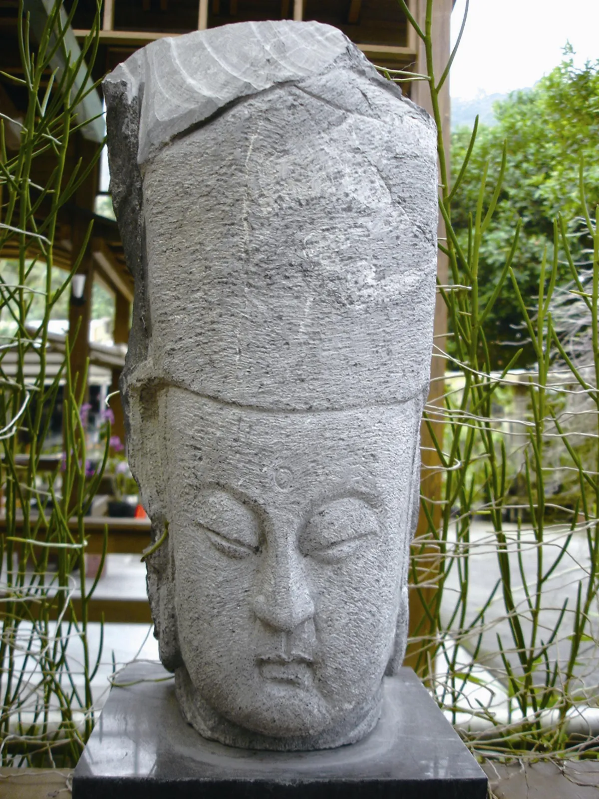 默觀世間