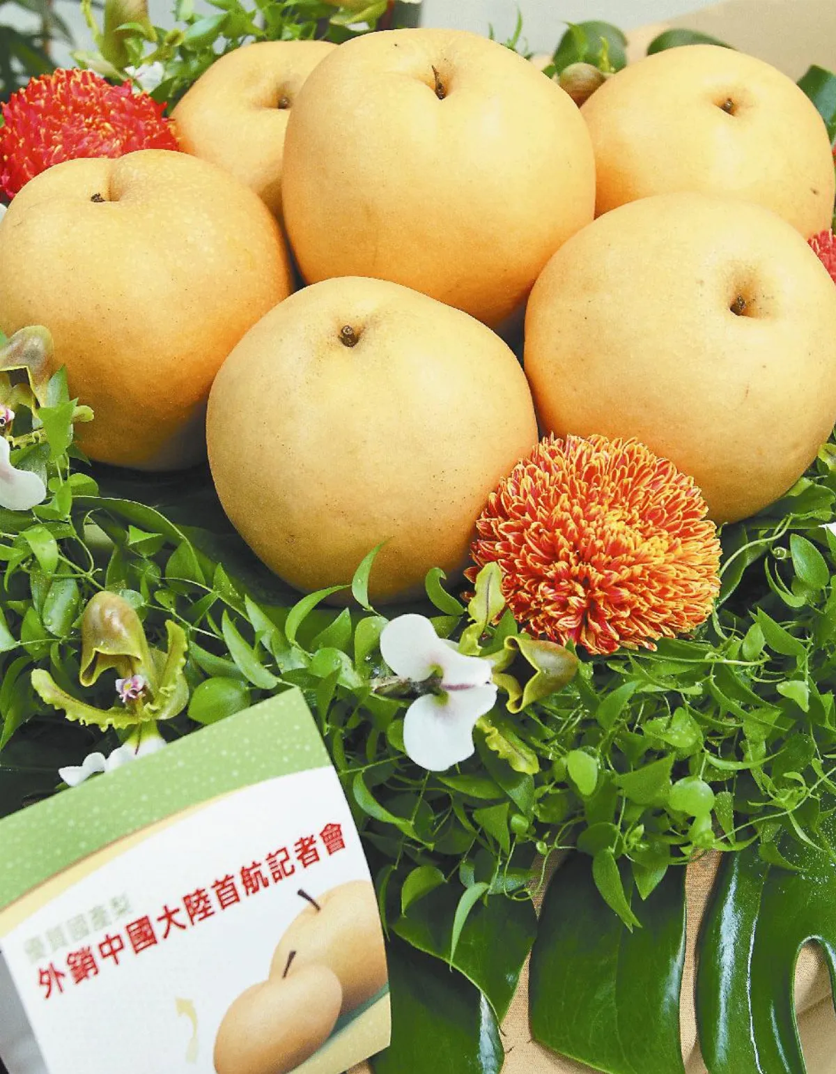 台梨銷陸 進口梨穗卻短缺