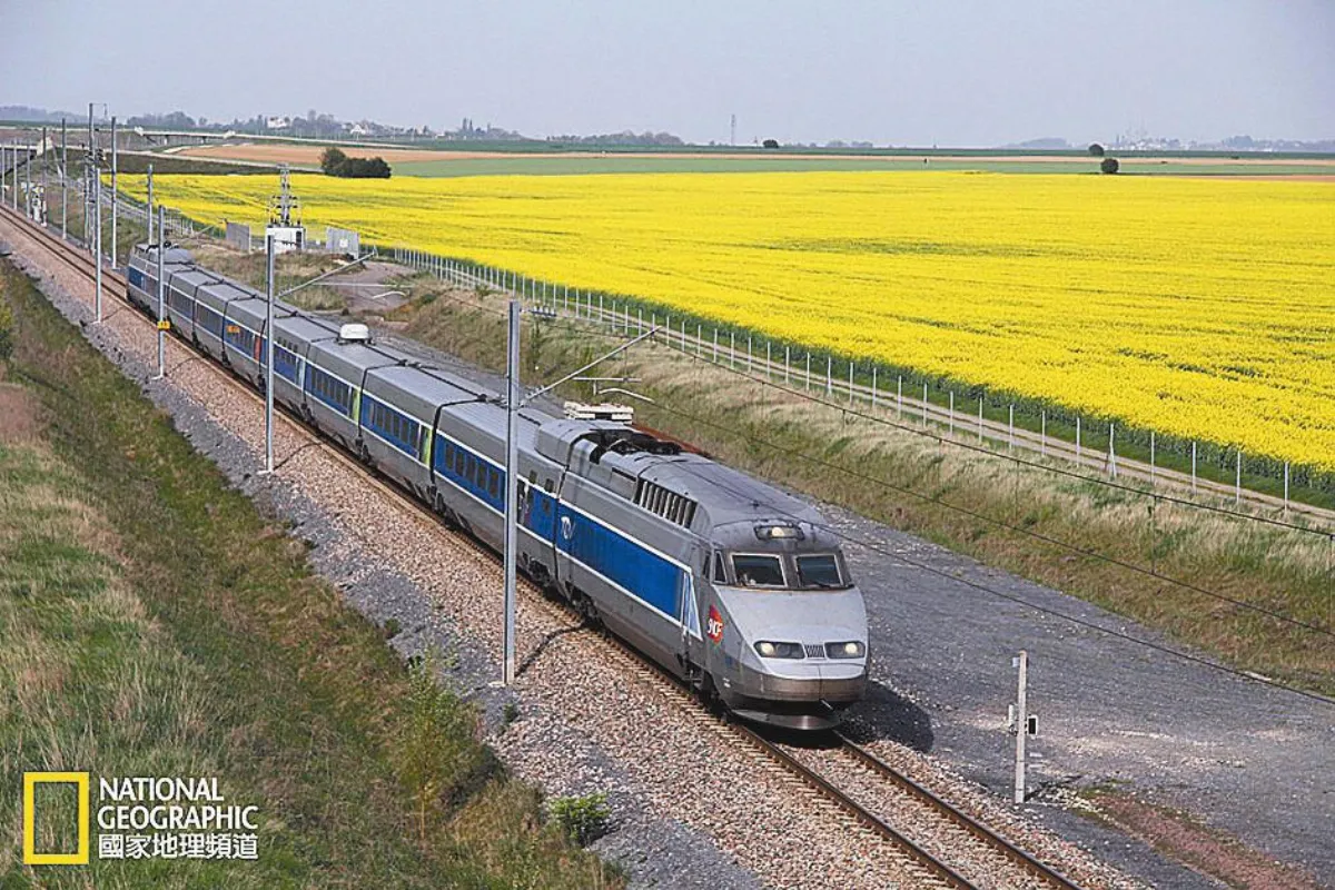 【優質電視選】法國高速列車《國家地理頻道》