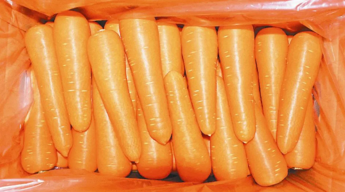 客製化預約生產台灣胡蘿蔔 日本超市銷售