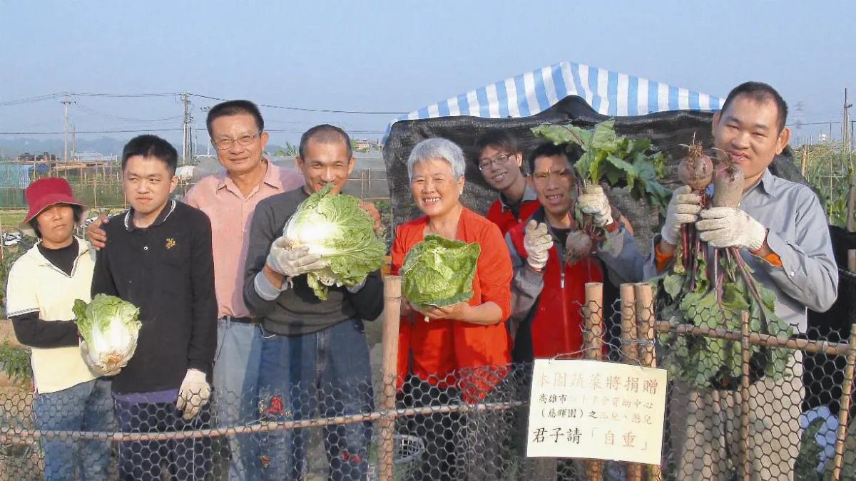 別偷 菜種給憨兒吃的