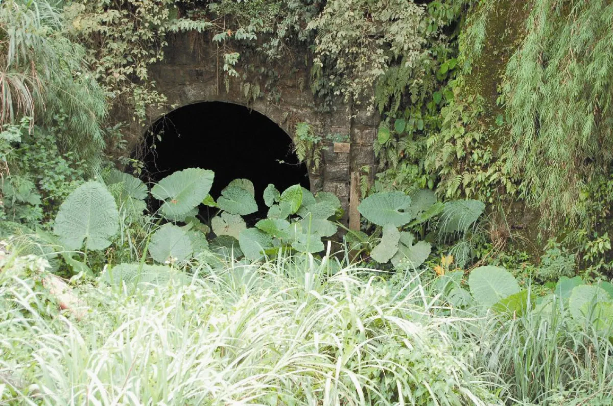 【社區部落格】輕便車隧道 埋沒荒草