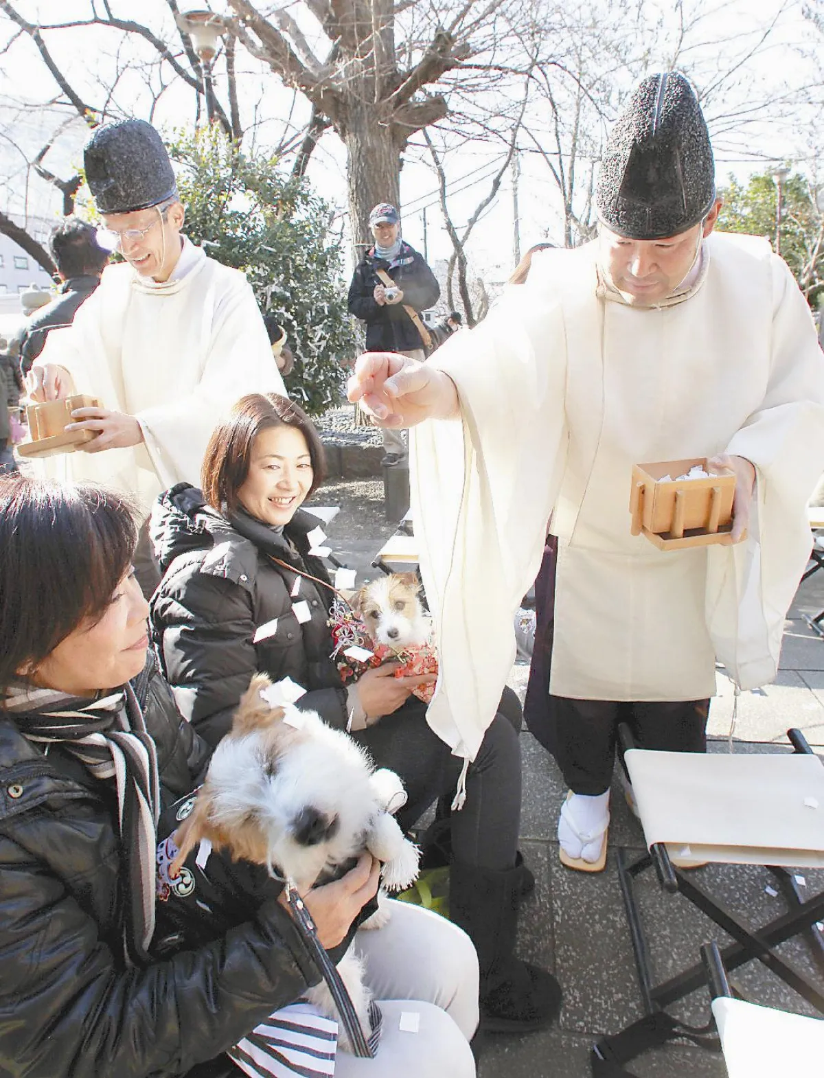 寵物淨化過新年