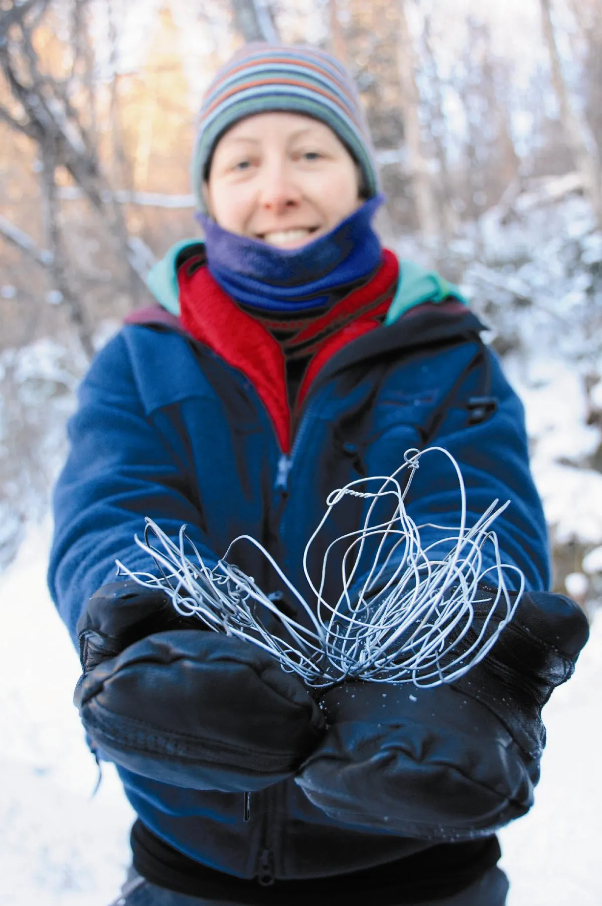 保護東北虎 不分國界