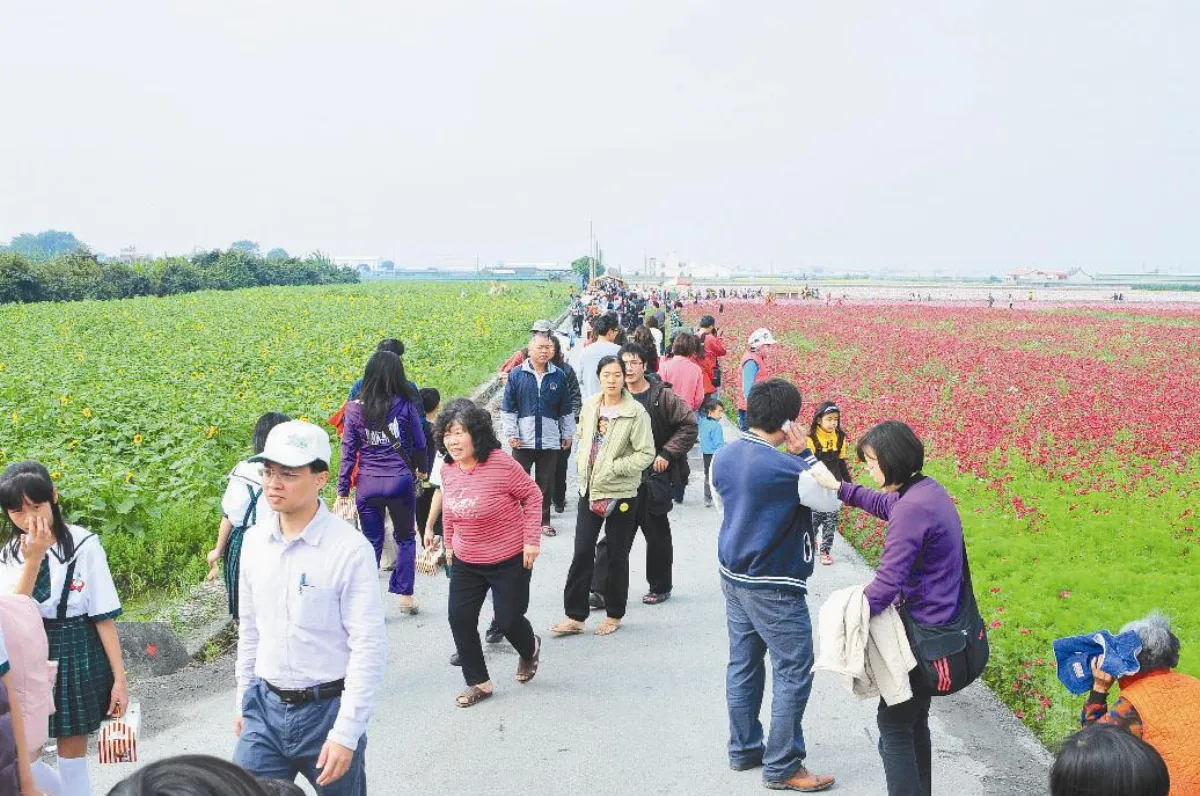 爭奇鬥豔 莿桐花海節登場