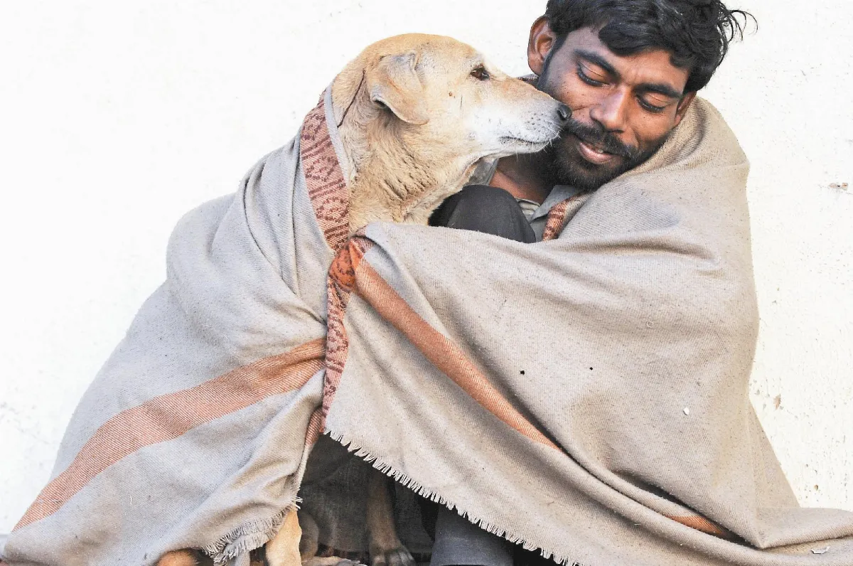 印度寒流 人狗情深
