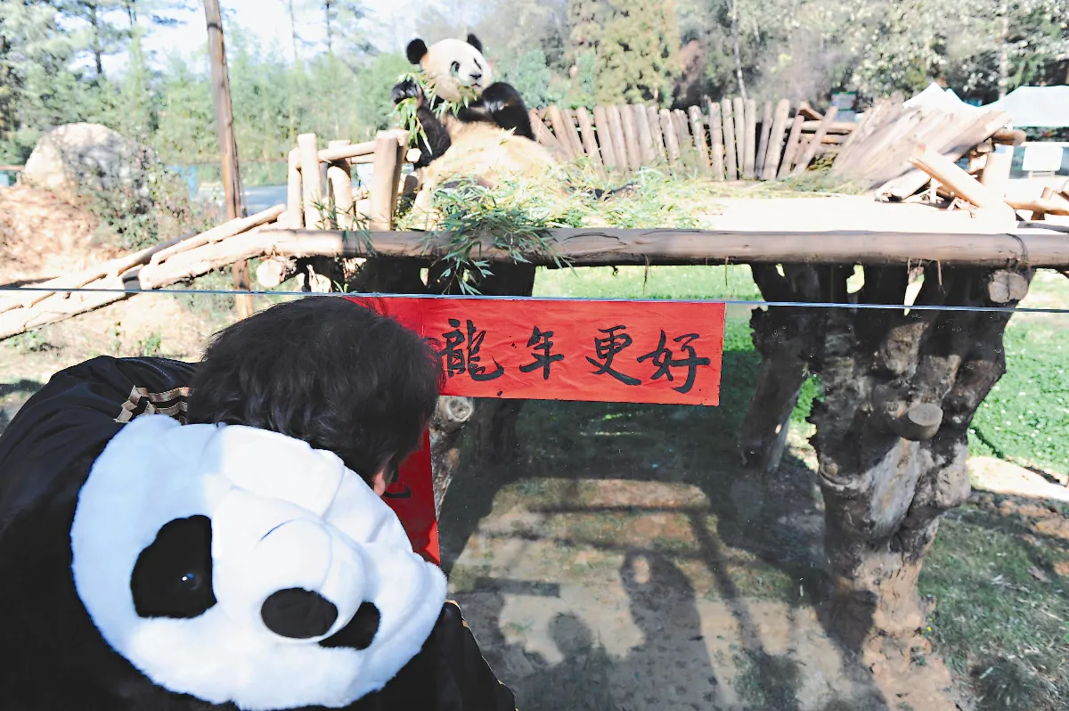 新年喜洋洋 濃濃節慶味