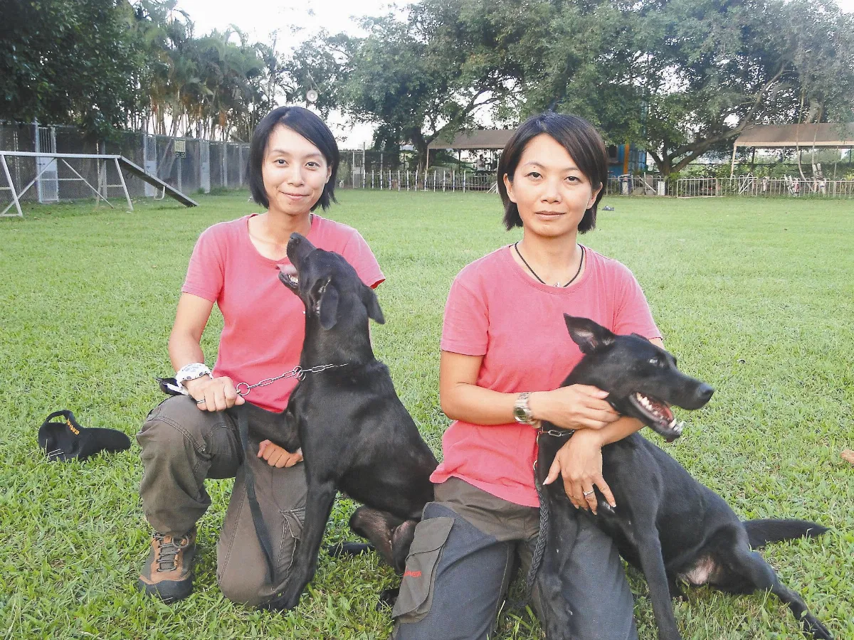 馴犬師姐妹 教出狗明星