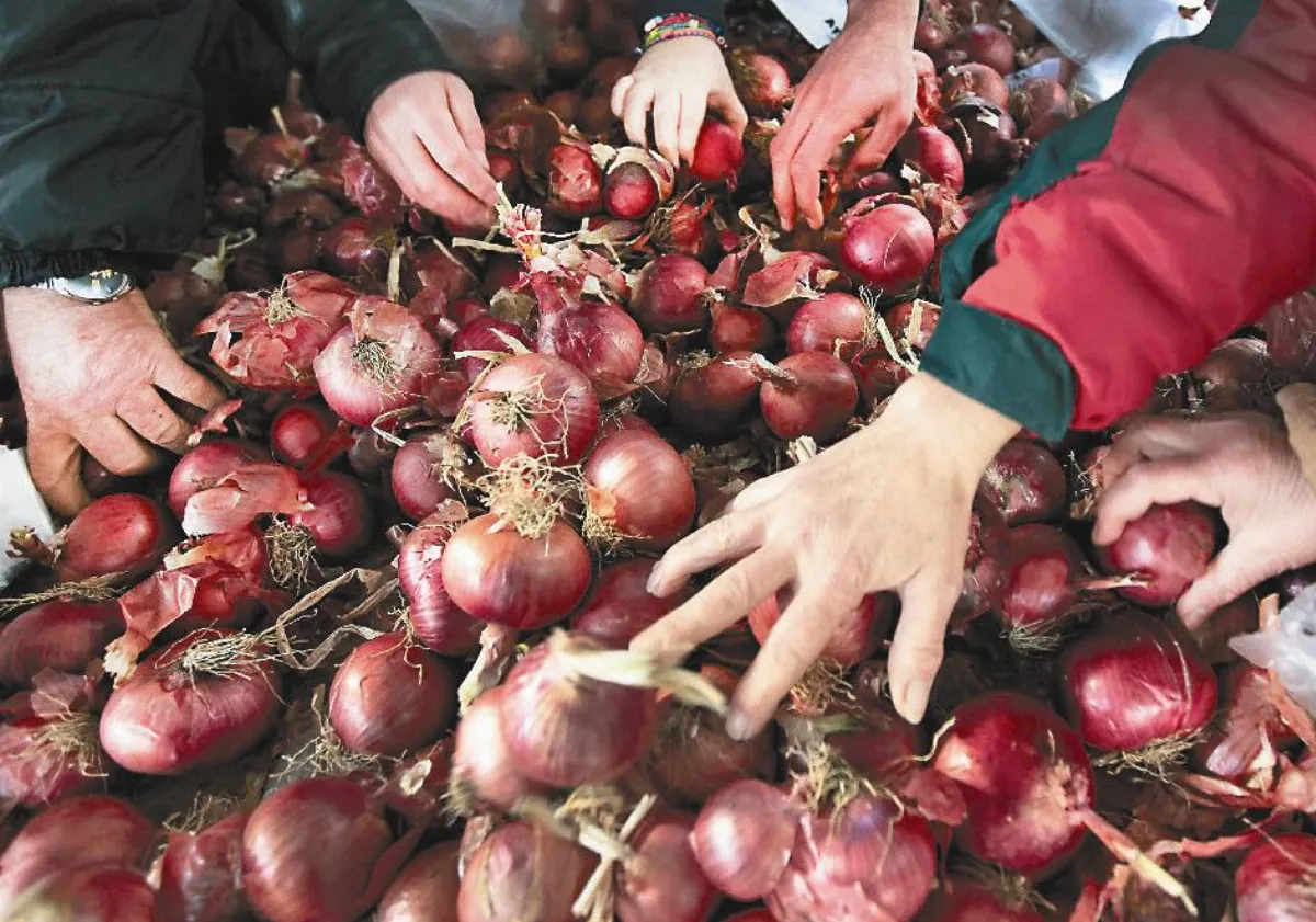 杜絕浪費英議員推醜食物 好吃又實惠
