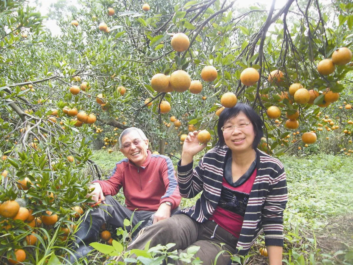 教授孝親 開橘莊分享