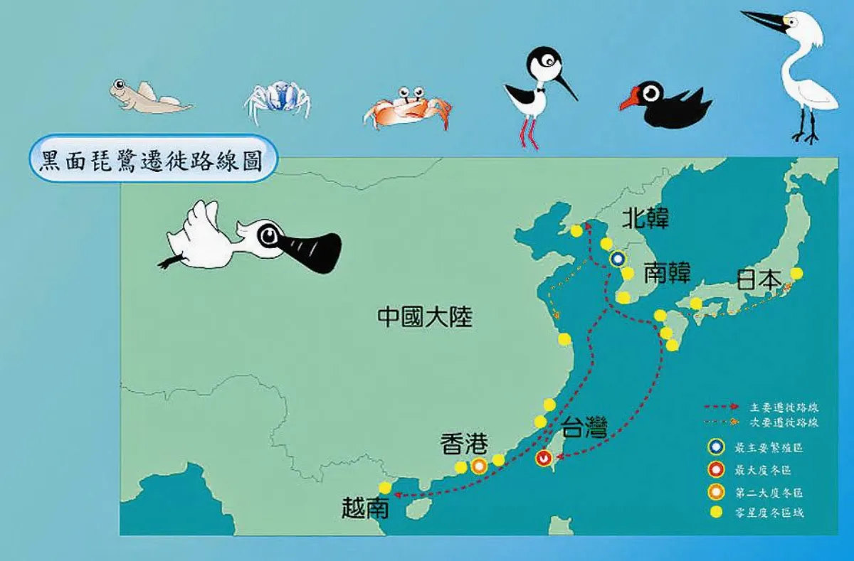 溼地生態豐富  宛如鳥類樂園