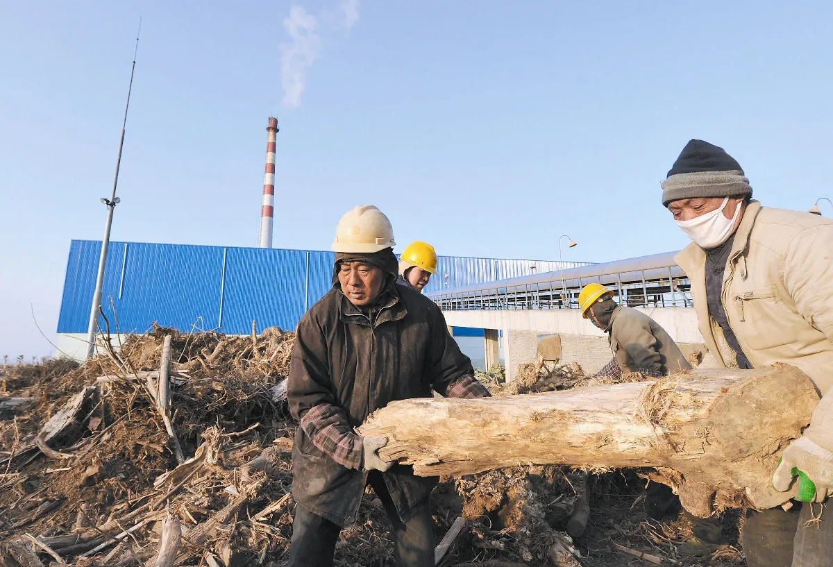生物質能發電  助環保