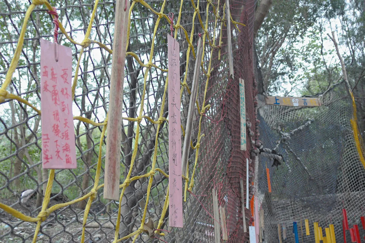 自閉男孩 獨奏會圓夢