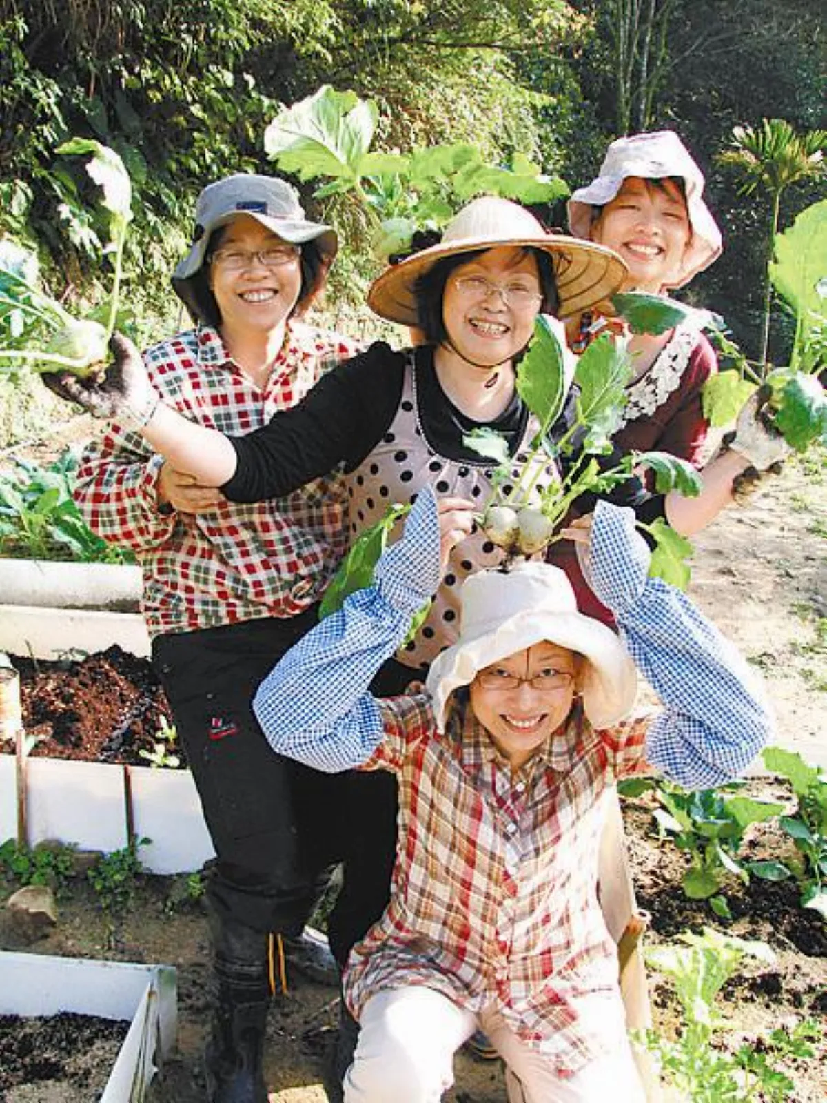 快樂農夫城市農夫 快樂農耕