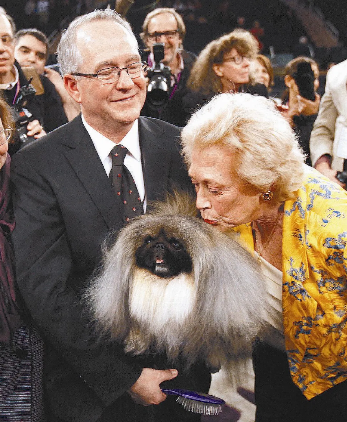 愛犬選美會北京狗奪冠