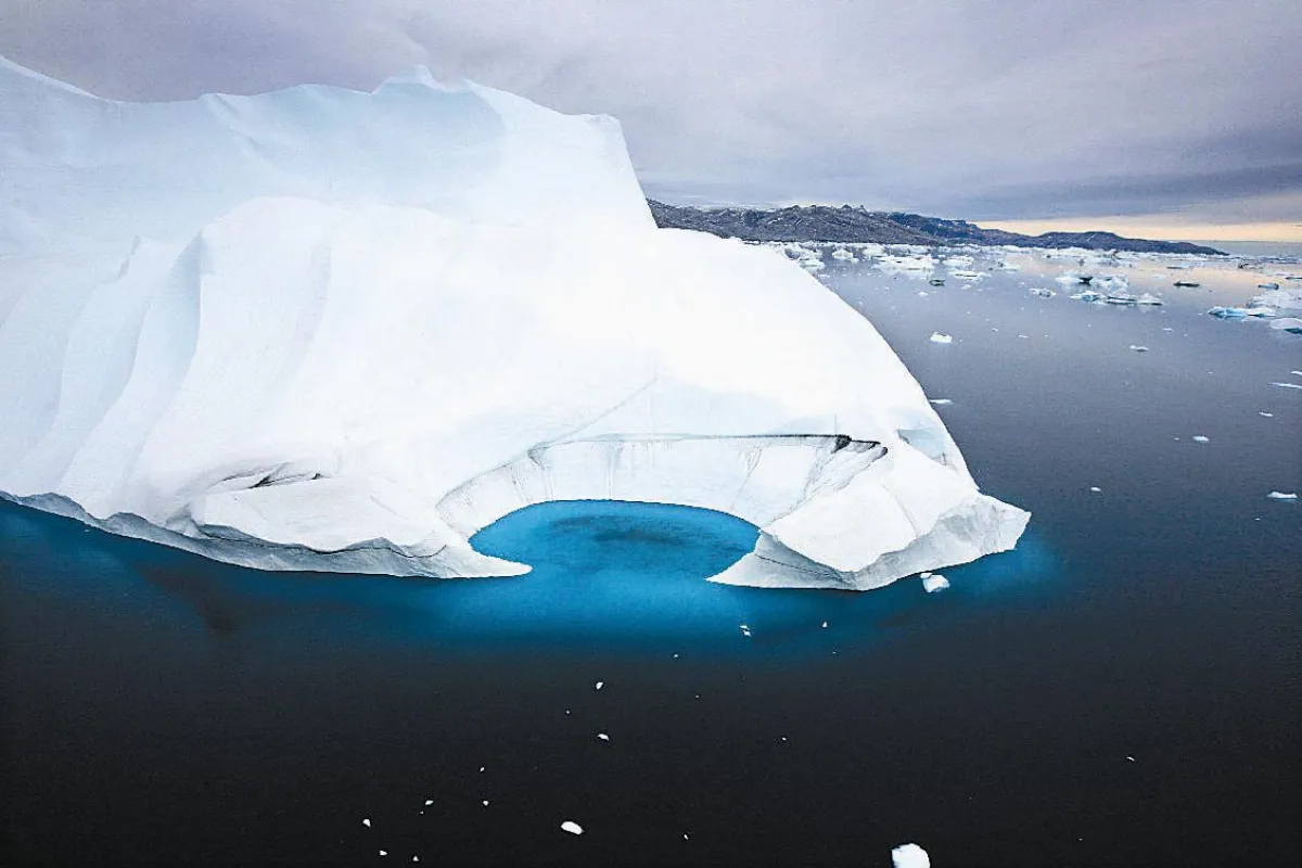 昆蟲大觀園      昆蟲的禦寒之道