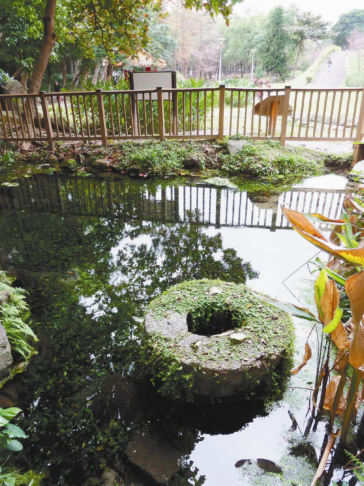 【小角落‧尋古意】八芝蘭番仔井