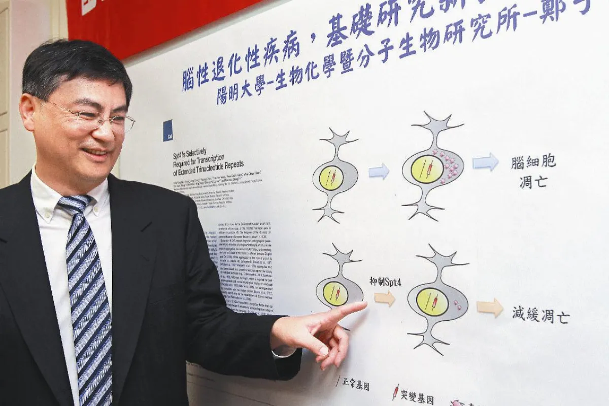 研究新發現 小腦萎縮症治療現曙光