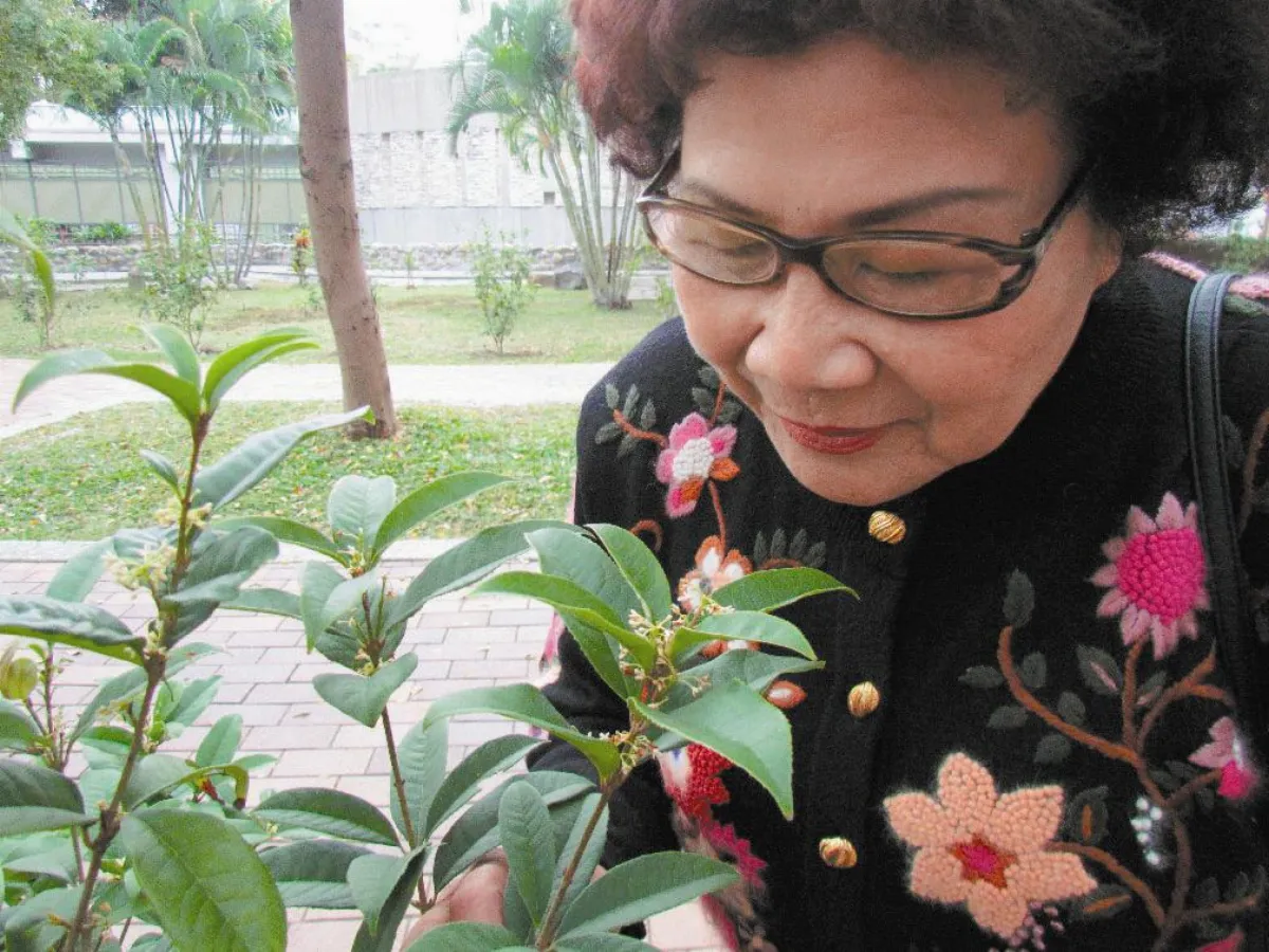 走過憂鬱症 她打造療癒花園