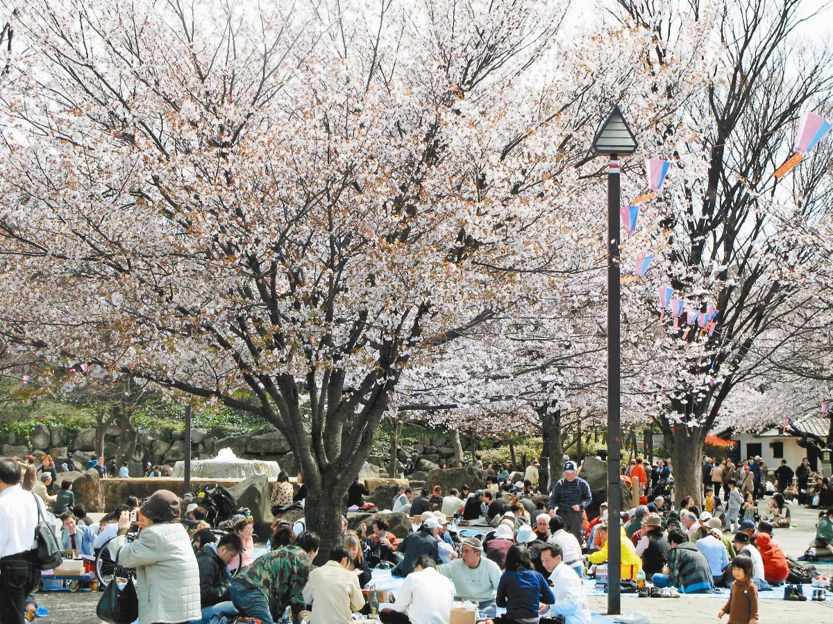 都電荒川之旅 半日東京樂遊