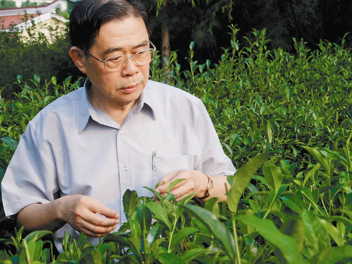 李瑞河留取茶心照汗青