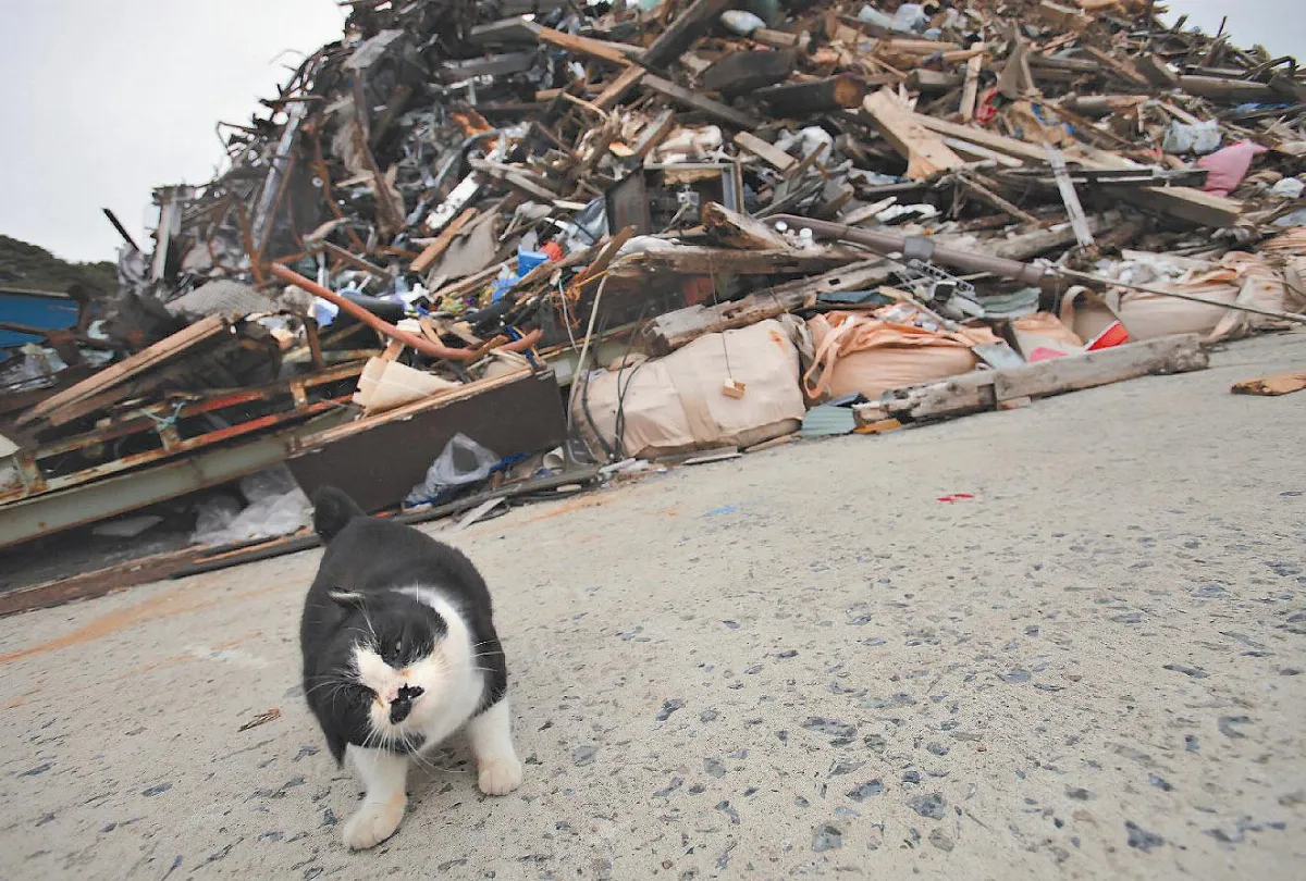 311大地震周年 重建路迢迢