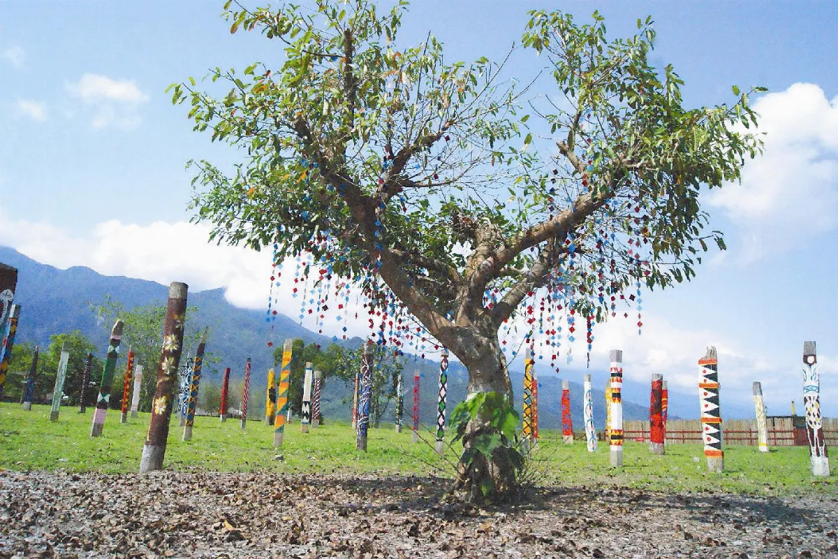 【社區部落格】三低園區 享受森林花海