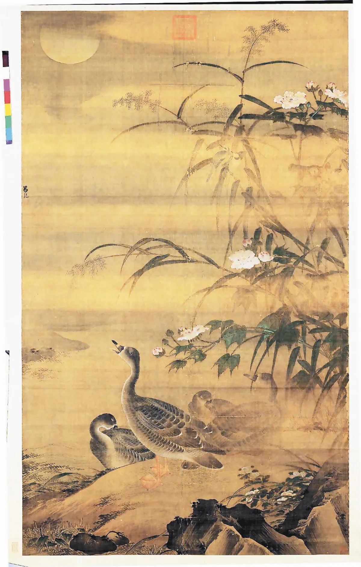 【妙奪化機‧呂紀繪畫展】秋渚水禽