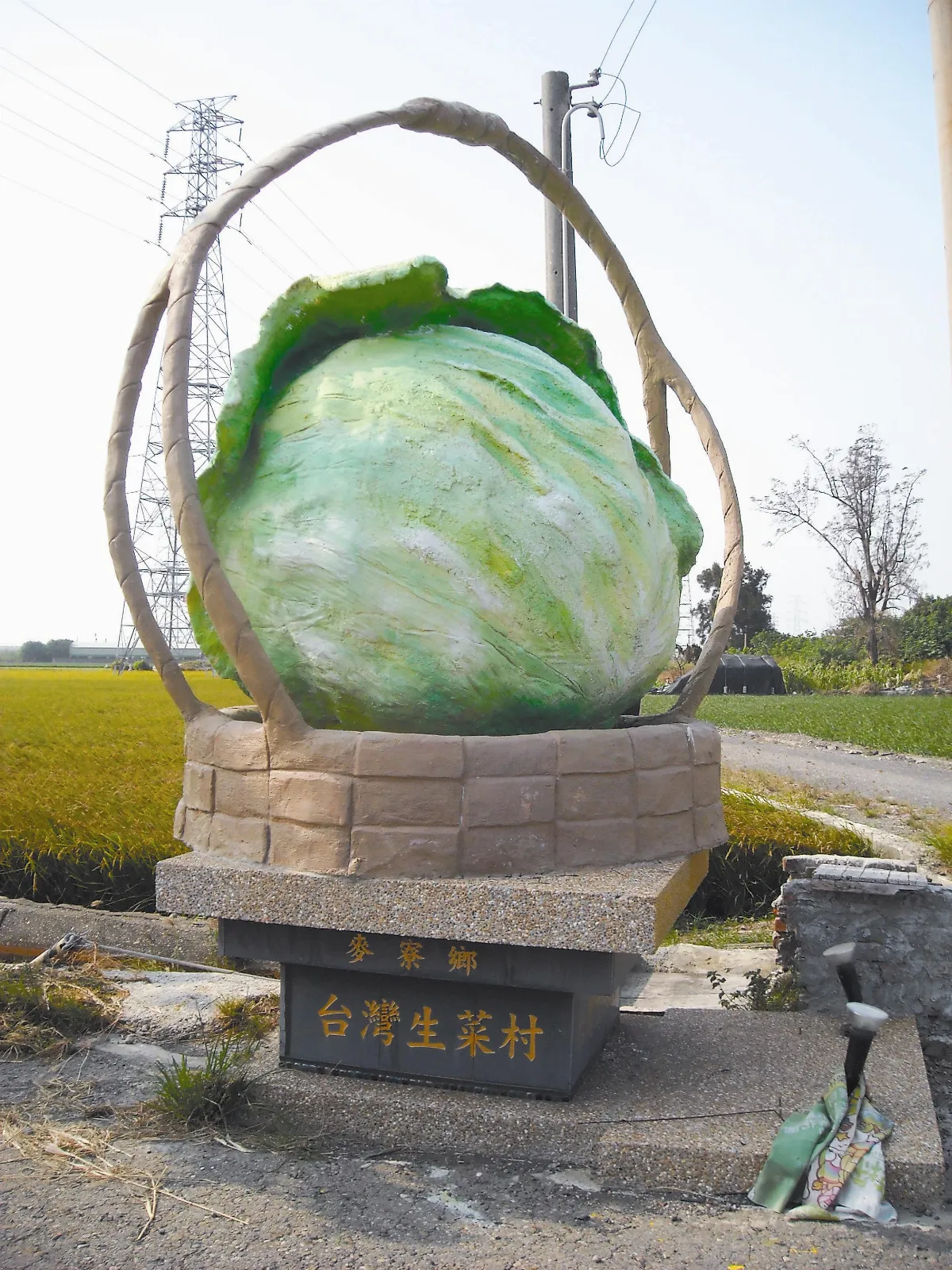 【生活快門】   好大棵生菜