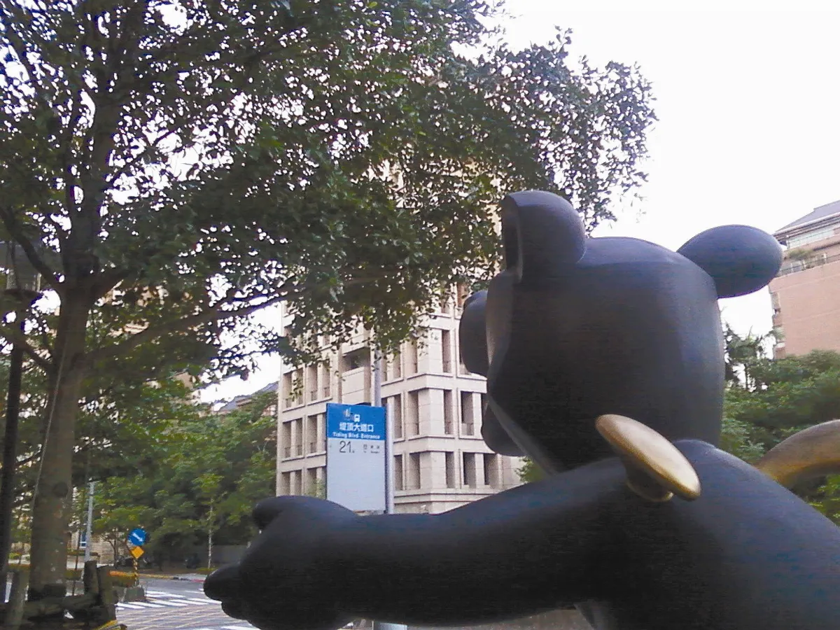 看圖學寫作  擁抱樹朋友