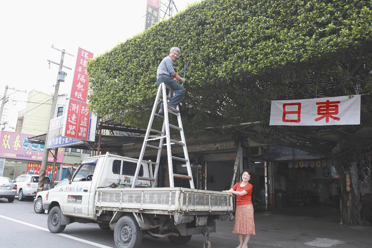 長方形老榕樹 輪胎行傳家寶