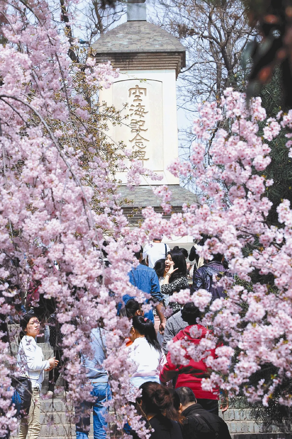 民眾觀點  將心比心，回歸交通秩序與自我覺醒