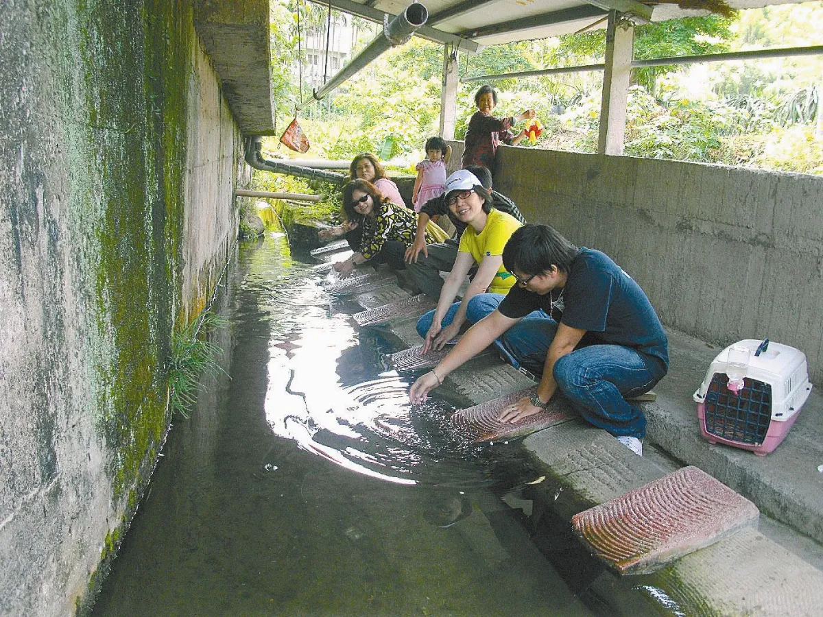 【社區部落格】獅潭鄉洗衫坑 居民熱愛