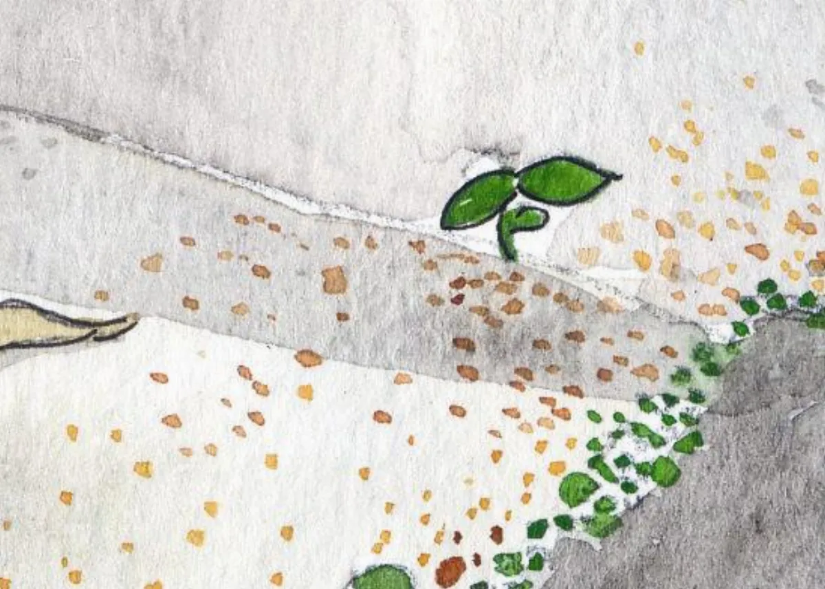 星雲說偈   花開花落