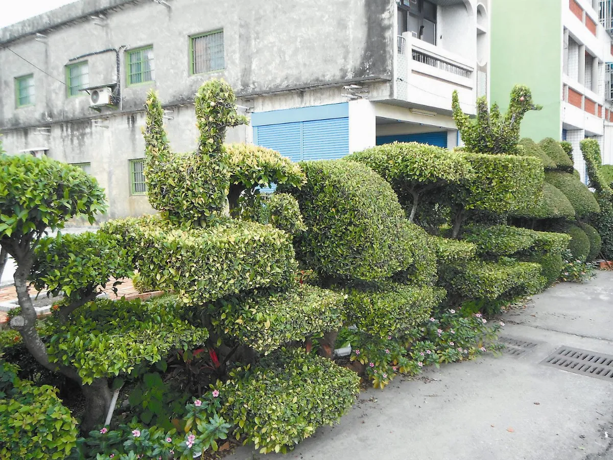 【生活快門】小鎮的春天