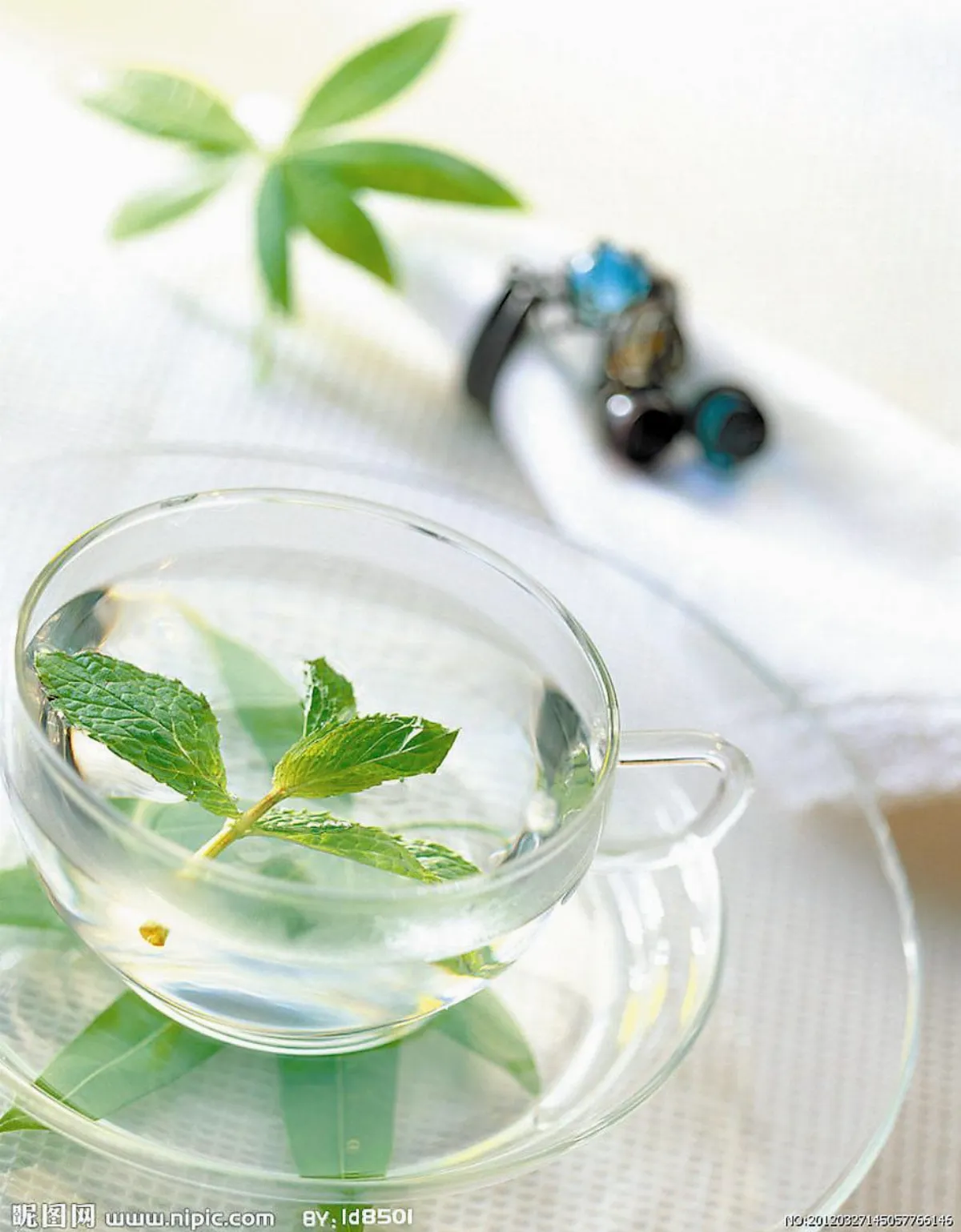 從五行談茶療與應用—入秋