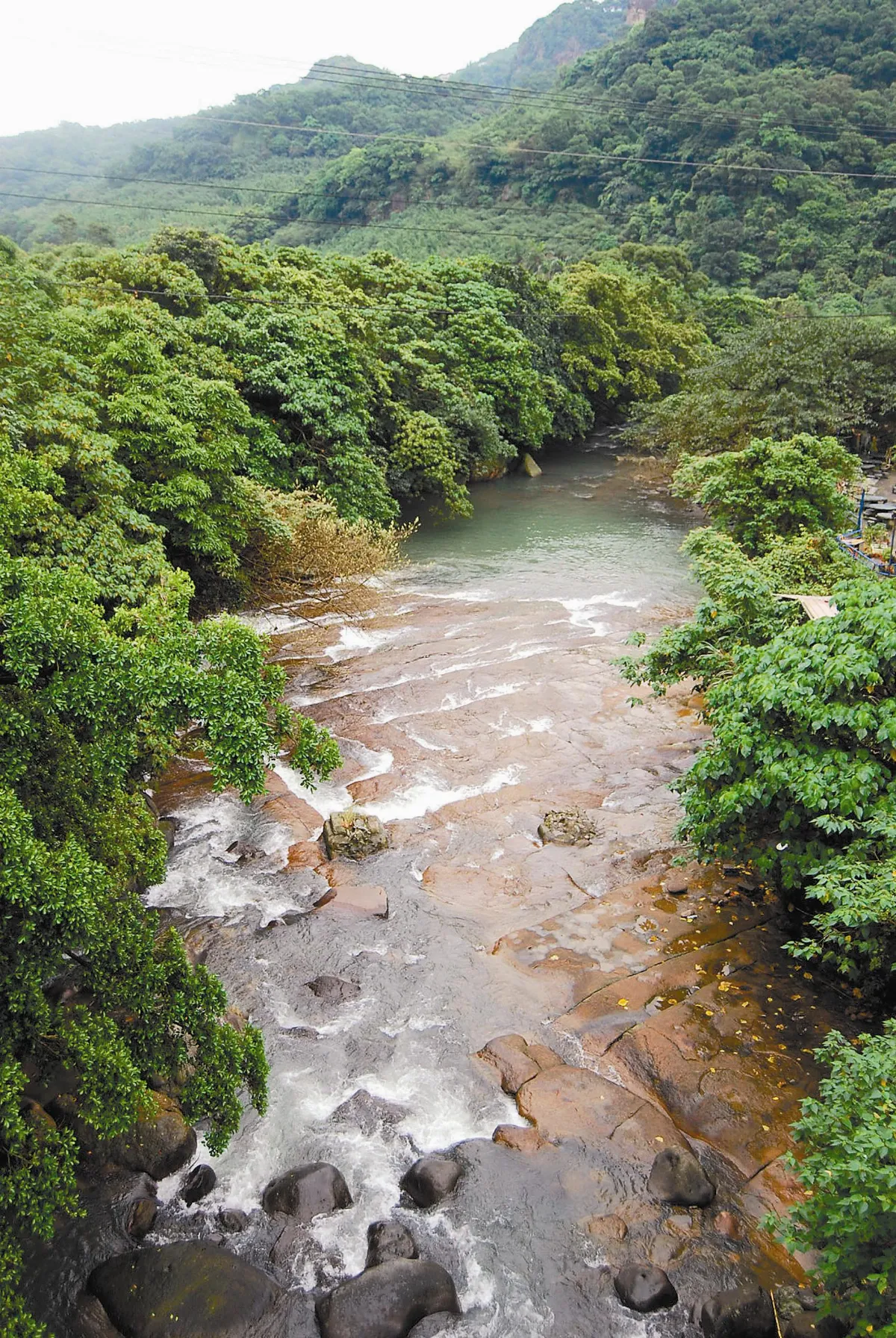 士林低碳趴趴走